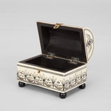 A SMALL BONE BOX WITH A DOMED LID, OVERALL PENWORK DECORATION AND NEW EBONISED BALL FEET.