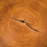A low rustic table made from a section of a large tree trunk with four branches as legs.