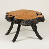 A low rustic table made from a section of a large tree trunk with four branches as legs.