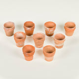 A set of miniature terracotta plant pots with scallop design to the rim.