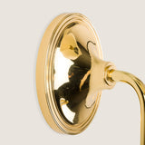 Swan neck wall light. Lacquered Brass.