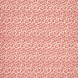 SEAWEED RASPBERRY