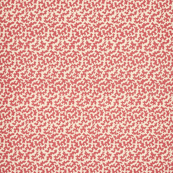 SEAWEED RASPBERRY
