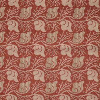 CORAL AND SHELLS