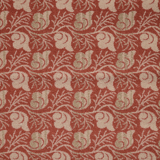 CORAL AND SHELLS