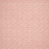 PINK SQUIGGLE