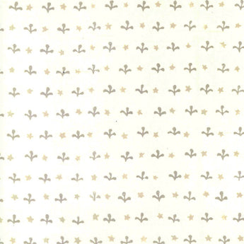 STAR & TREFOIL