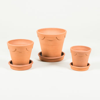 A terracotta flower pot with a scallop decorated rim with saucer - Large size.