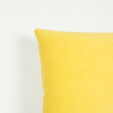 A pair of large square cushions made up in a pear coloured velvet, contrast piped.